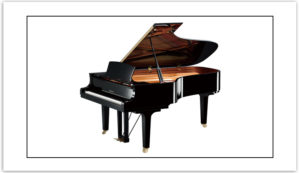 Vendita e assistenza pianoforti