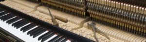 assistenza tecnica pianoforte